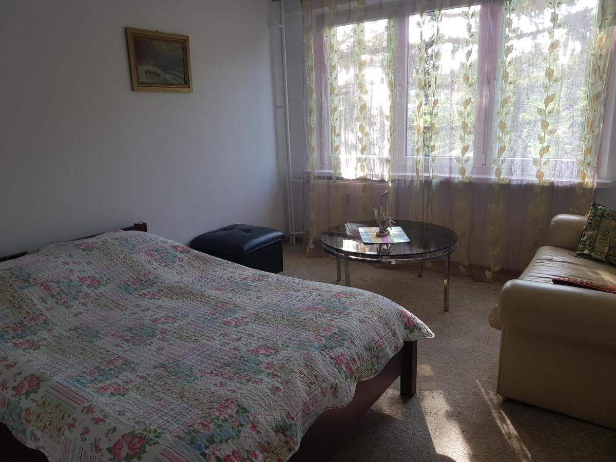 Mieszkanie W Centrum Krakowa מראה חיצוני תמונה